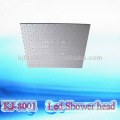 Stainless steel led shower light